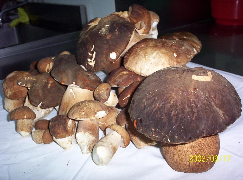 Hotel Azkue Getaria Luaran gambar